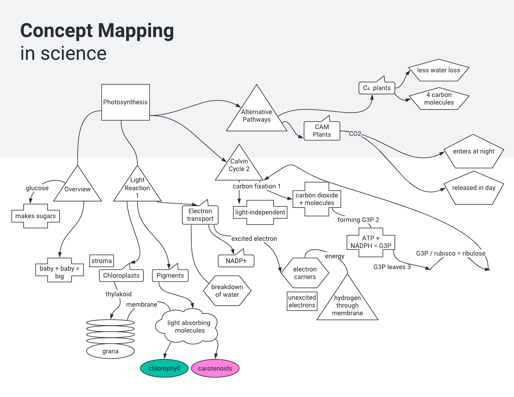 Science concept map template