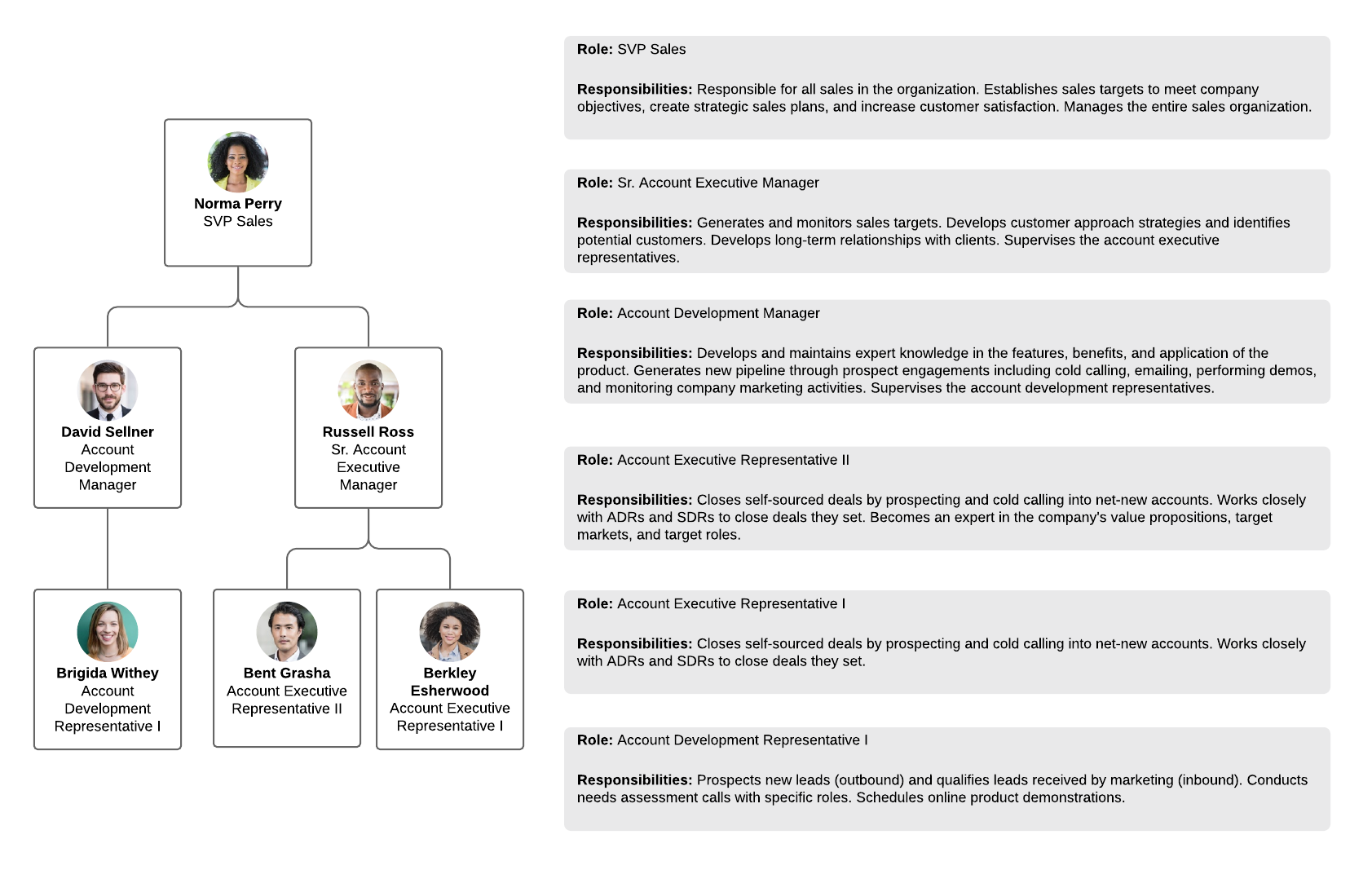 roles and responsibilities framework example