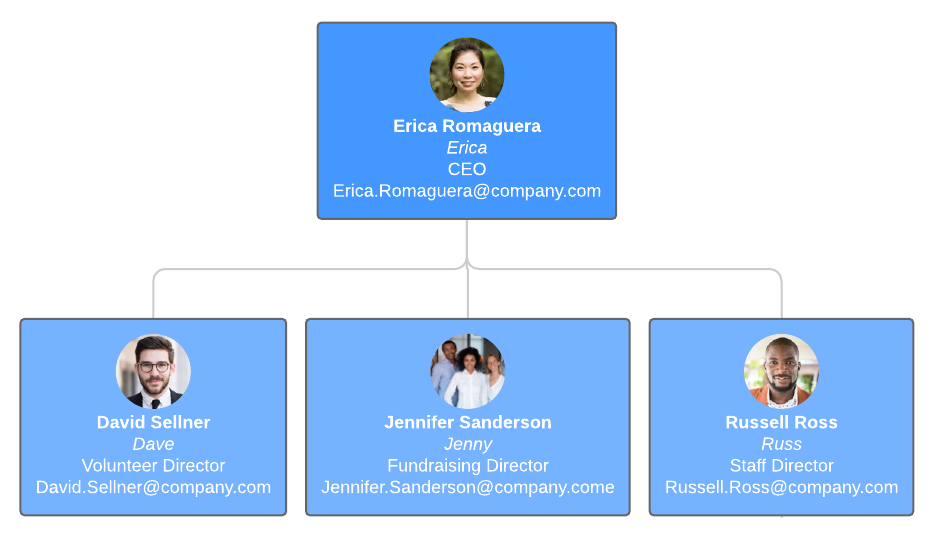 Small company org chart - copaxled