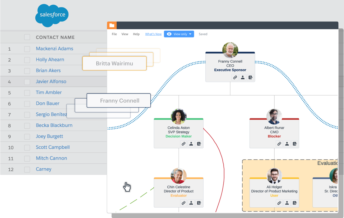 customizable account maps