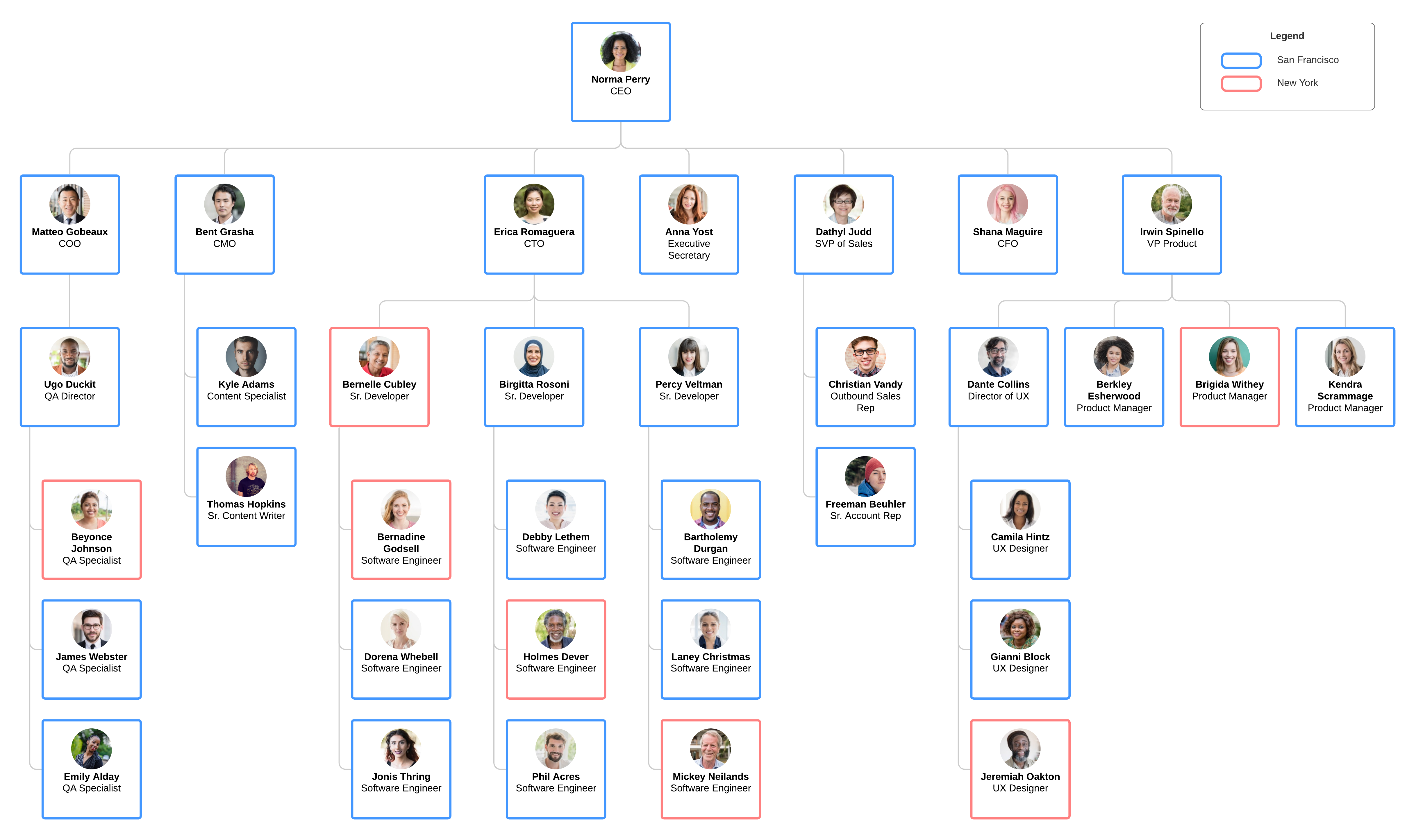 Typical Tech Company Org Chart