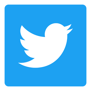 Twitter logo sense of motion