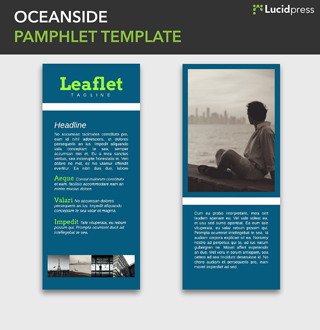 One Page Handout Template from d2slcw3kip6qmk.cloudfront.net