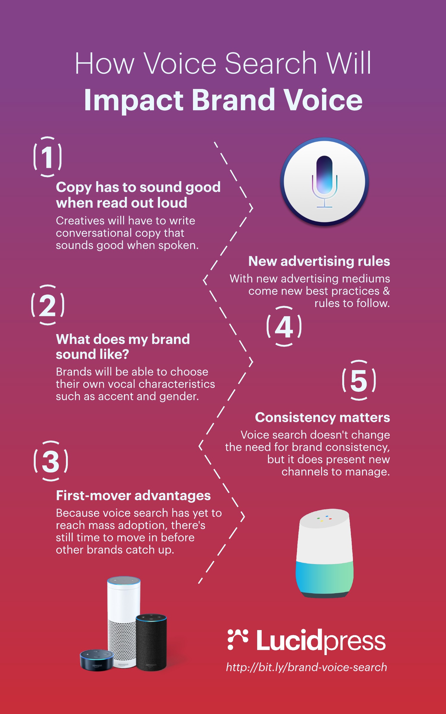 Voice search infographic