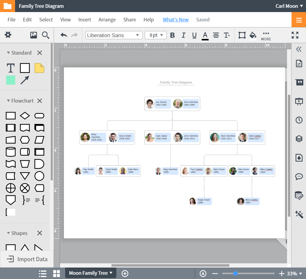 Stammbaum Programm Stammbaum Online Erstellen Lucidchart