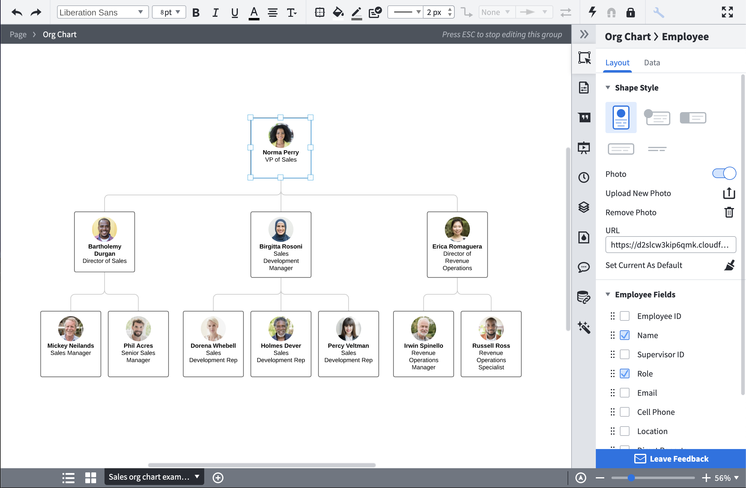 lucidchart circular organizational chart template