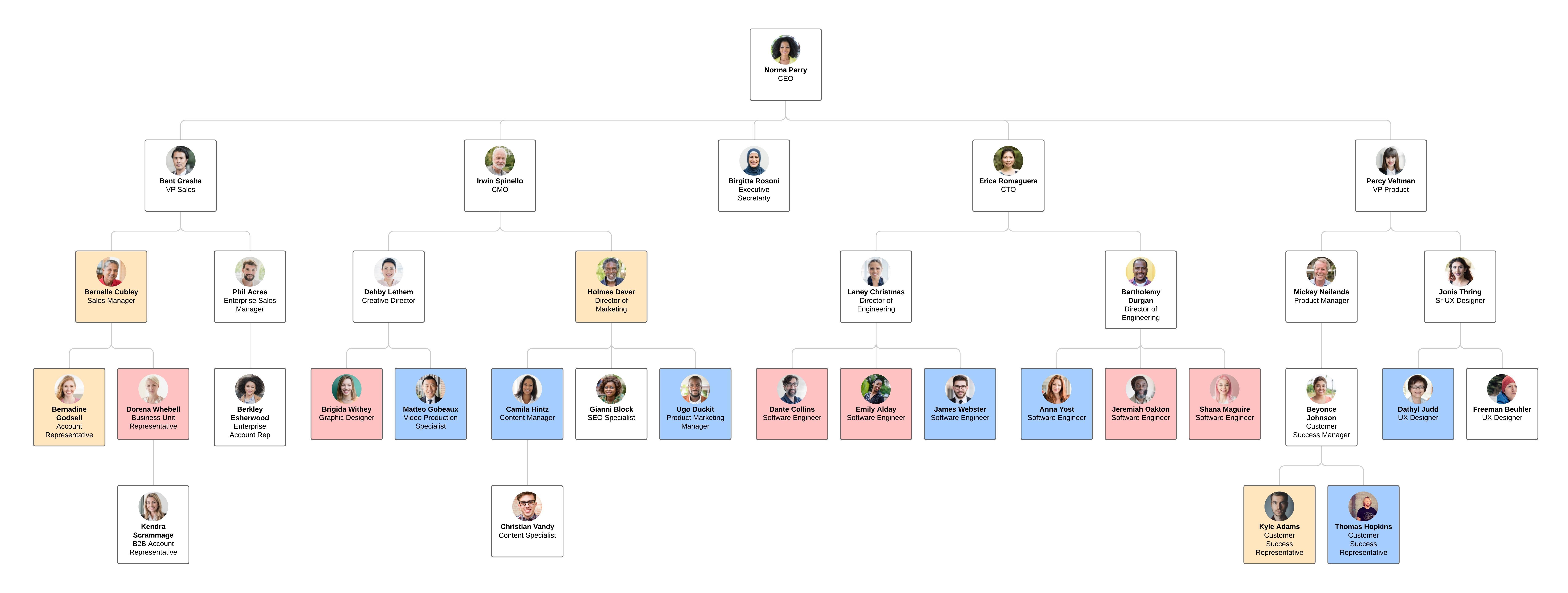 Functional Organizational Chart Template