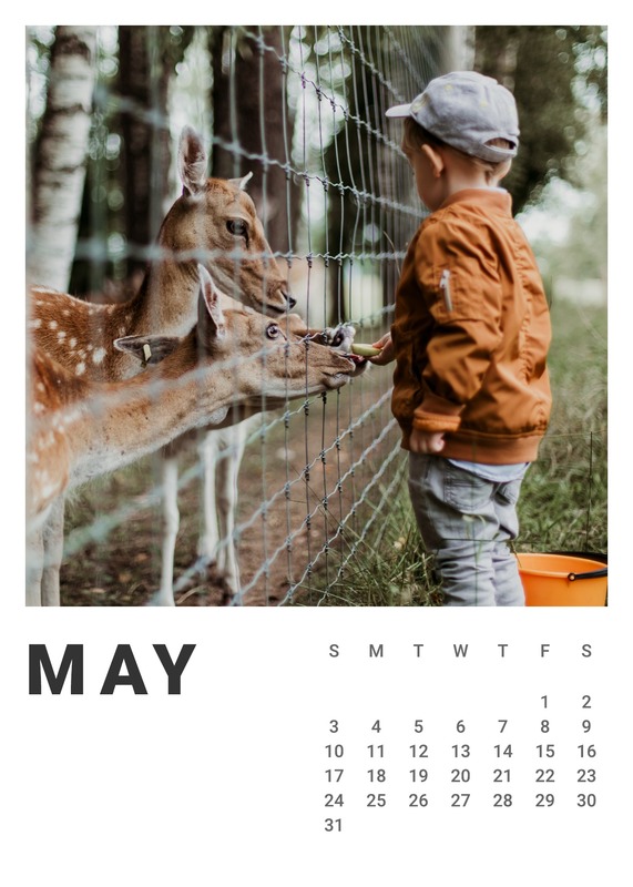 Photo calendar template