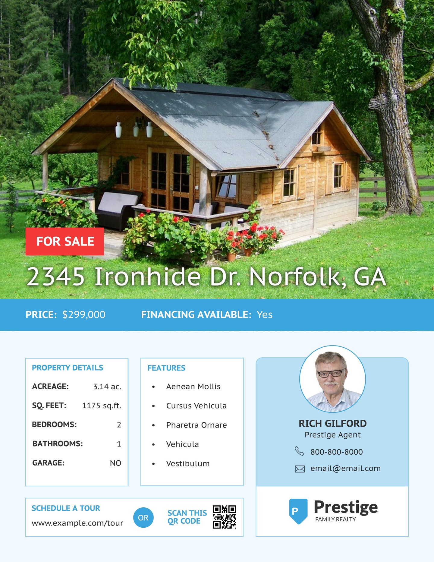 Free Flyer Template - Download Free Sample Layouts Sample house sale flyer template
