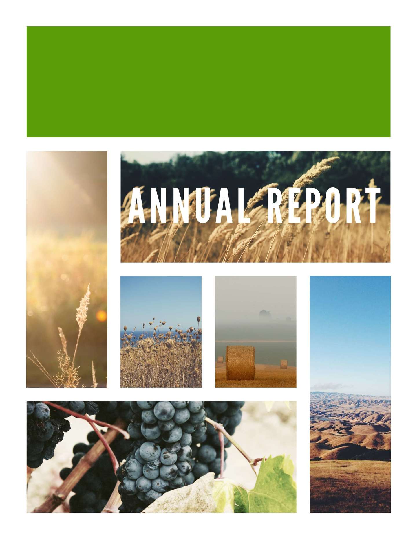 Free Annual Report Template Docx