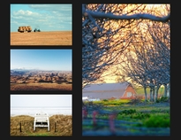 Horizontal photo collage