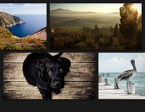 Multi-page photo collage